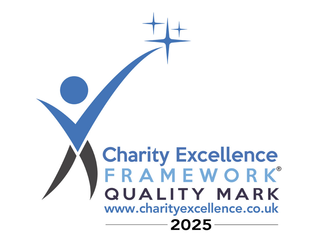 Charity Excellence Framework Logo